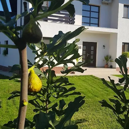 Casa Preda *